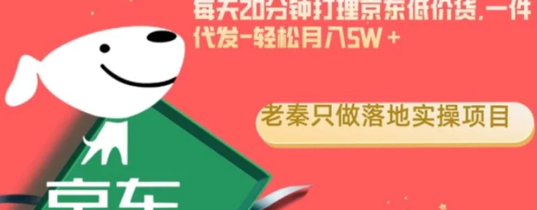 每天20分钟打理京东低价货，一件代发-轻松月入5W＋-云际资源网