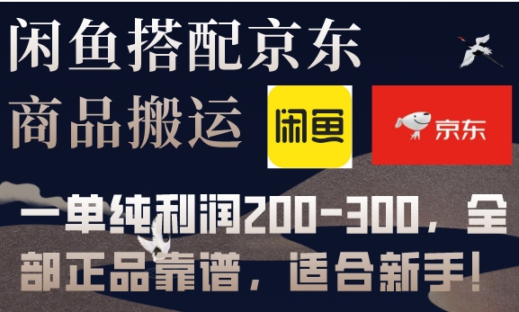 闲鱼搭配京东备份库搬运，一单纯利润200-300，全部正品靠谱，适合新手！-云际资源网