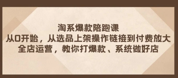 淘系爆款陪跑课 从选品上架操作链接到付费放大 全店运营 打爆款 系统做好店-云际资源网