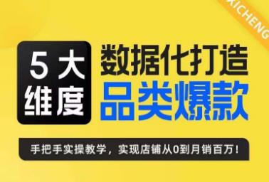 5大维度，数据化打造电商品类爆款特训营，一套高效运营爆款方法论-云际资源网