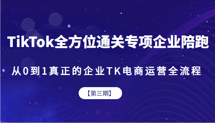 TikTok全方位通关专项企业陪跑【第三期】，从0到1真正的企业TK电商运营全流-云际资源网