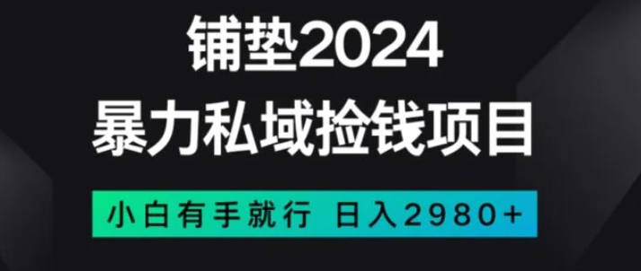 暴力私域捡钱项目，小白无脑操作，日入2980【揭秘】-云际资源网