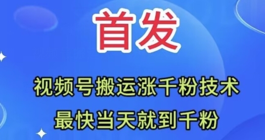 全网首发：视频号无脑搬运涨千粉技术，最快当天到千粉【揭秘】-云际资源网