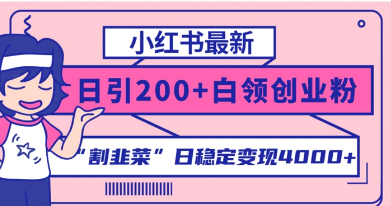 小红书最新日引200+创业粉”割韭菜“日稳定变现4000+实操教程！-云际资源网