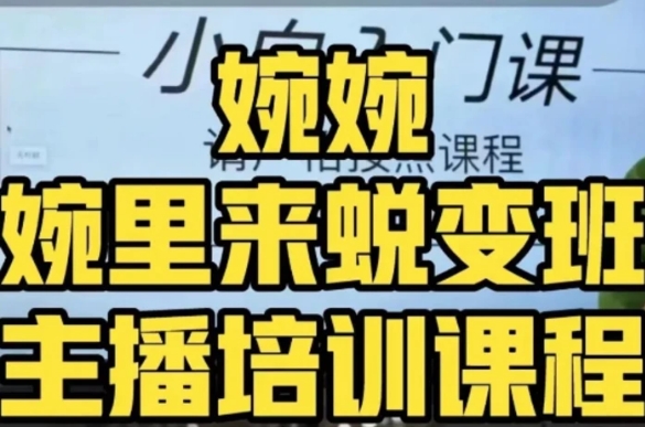 婉婉·婉里来蜕变班全方位理解底层逻辑并灵活运用-云际资源网