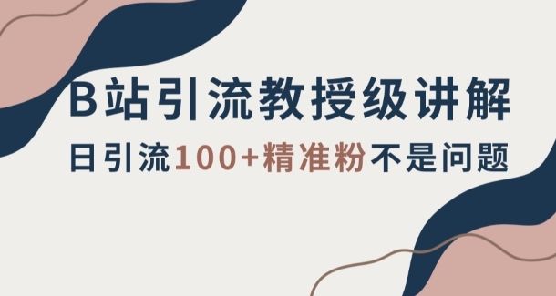 B站引流教授级讲解，细节满满，日引流100+精准粉不是问题【揭秘】-云际资源网