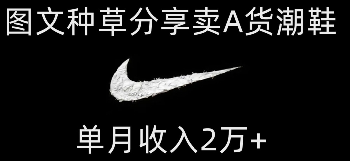 靠图文种草分享卖A货潮鞋，每天一小时，单月收入2万+【揭秘】-云际资源网