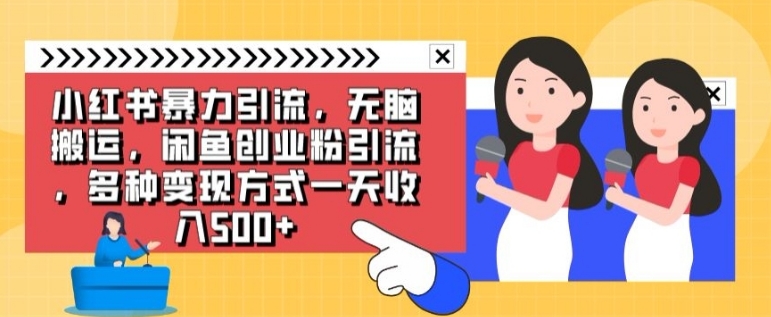 小红书暴力引流，无脑搬运，闲鱼创业粉引流，多种变现方式一天收入500-云际资源网