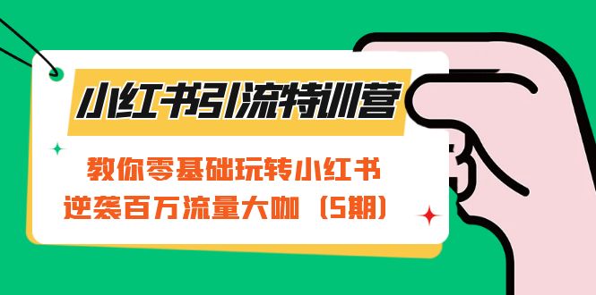 小红书引流特训营-第5期：教你零基础玩转小红书，逆袭百万流量大咖-云际资源网