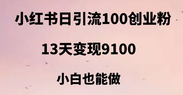 小红书日引流100+创业粉，13天变现9100，创业首选引流平台-云际资源网