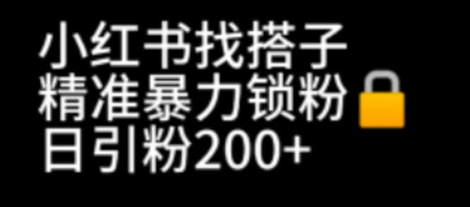 小红书找搭子暴力精准锁粉+引流日引200+精准粉-云际资源网
