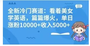 全新冷门赛道：看着美女学英语，篇篇爆火，单日涨粉10000+收入5000+-云际资源网