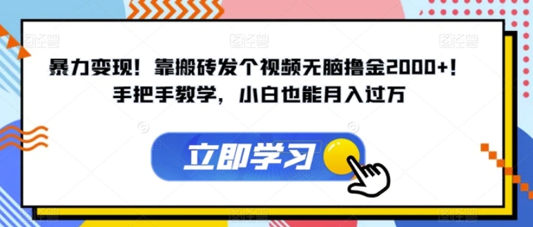 暴力变现！靠搬砖发个视频无脑撸金2000+！手把手教学，小白也能月入过万【揭秘】-云际资源网