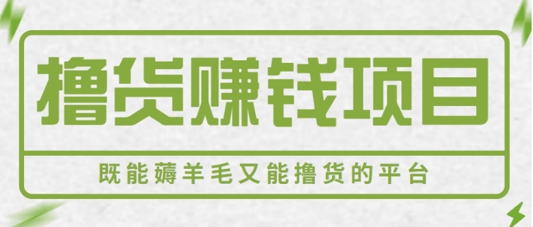 新手小白可做，既能撸货又能薅羊毛赚钱的项目，轻松日赚几十几百元【视频教程】-云际资源网