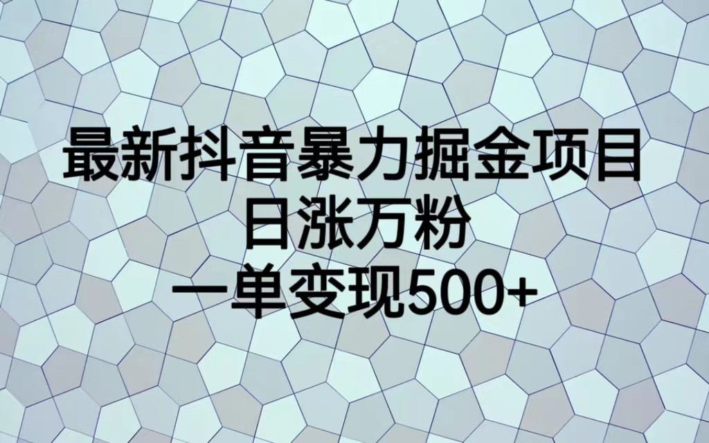 最新抖音暴力掘金项目，日涨万粉，一单变现500+-云际资源网