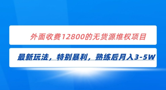 全网首发！外面收费12800的无货源维权最新暴利玩法，轻松月入3-5W-云际资源网