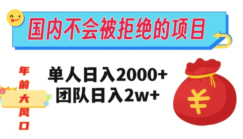 在国内不怕被拒绝的项目，单人日入2000，团队日入20000+【揭秘】-云际资源网