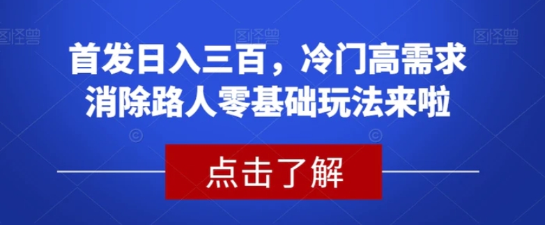 首发日入三百，冷门高需求消除路人零基础玩法来啦【揭秘】-云际资源网