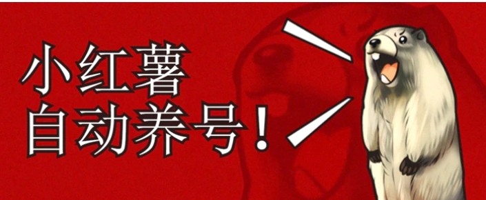 小红书养号秘籍，如何自动涨粉清晰系统标签打造高权重账号【揭秘】-云际资源网