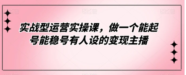 实战型运营实操课，做一个能起号能稳号有人设的变现主播-云际资源网