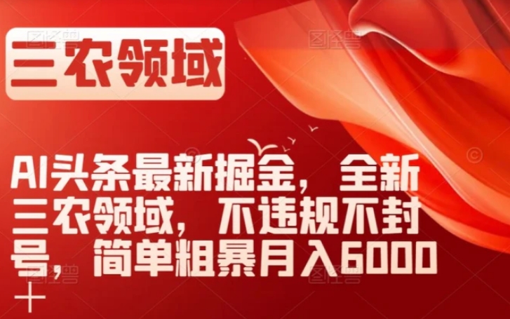 AI头条最新掘金，全新三农领域，不违规不封号，简单粗暴月入6000＋【揭秘】-云际资源网