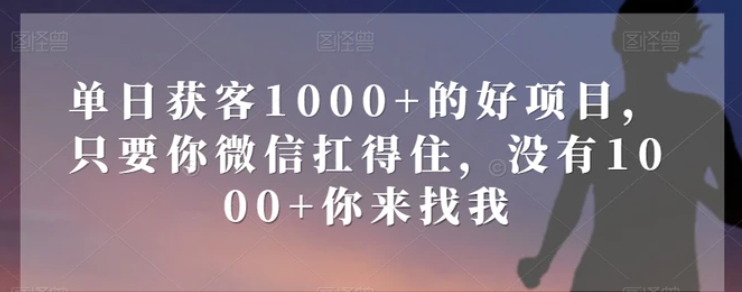 单日获客1000+的好项目，只要你微信扛得住，没有1000+你来找我【揭秘】-云际资源网