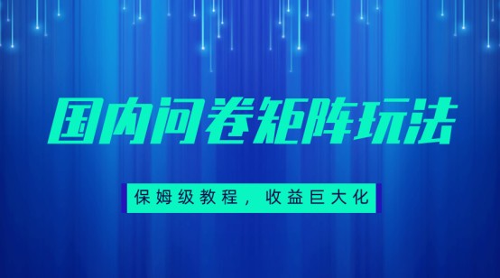 保姆级教程，国内问卷矩阵玩法，轻松赚收益-云际资源网