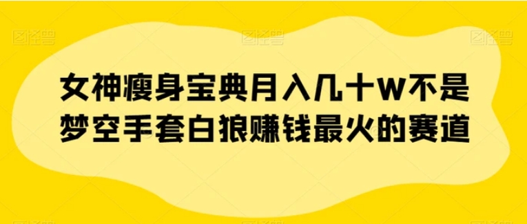 女神瘦身宝典月入几十W不是梦空手套白狼赚钱最火的赛道【揭秘】-云际资源网