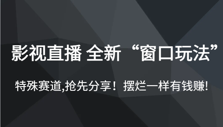 影视直播 全新“窗口玩法”，特殊赛道,抢先分享！摆烂一样有钱赚!-云际资源网