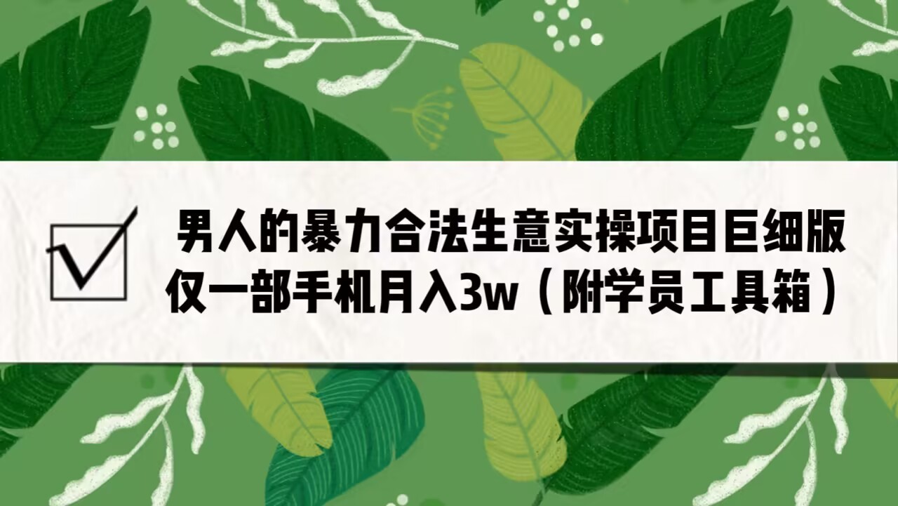 男人的暴力合法生意实操项目巨细版：仅一部手机月入3w-云际资源网