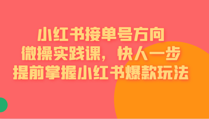 小红书接单号方向微操实践课，快人一步提前掌握小红书爆款玩法-云际资源网