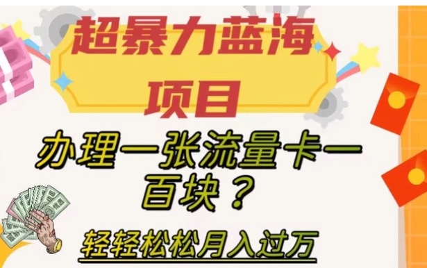 超暴力蓝海项目，办理一张流量卡一百块？轻轻松松月入过万，保姆级教程【揭秘】-云际资源网