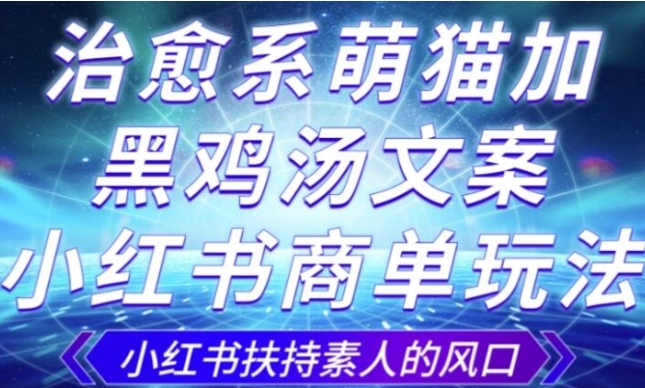 治愈系萌猫加+黑鸡汤文案，小红书商单玩法，3~10天涨到1000粉，一单200左右-云际资源网