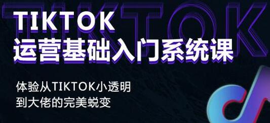 《Tiktok运营基础入门系统课》从tiktok小白到大佬的完美蜕变-云际资源网