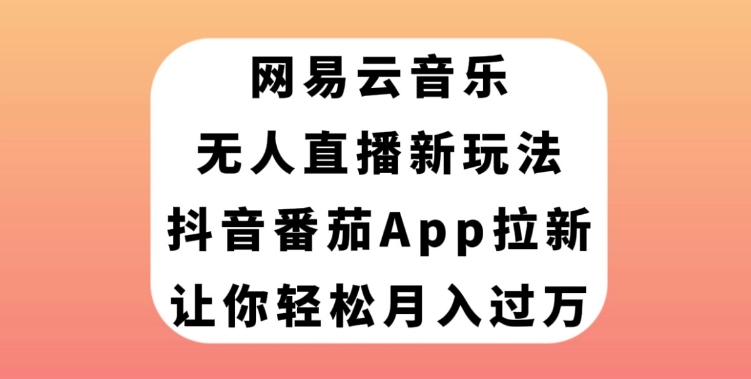 网易云音乐无人直播新玩法，抖音番茄APP拉新，让你轻松月入过万-云际资源网
