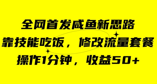 咸鱼冷门新玩法，靠“技能吃饭”，修改流量套餐，操作1分钟，收益50+-云际资源网