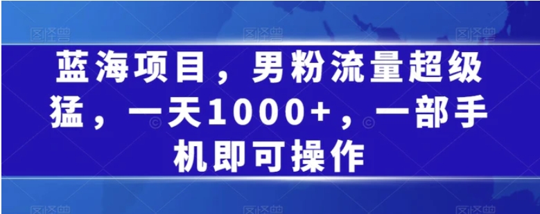 蓝海项目，男粉流量超级猛，一天1000+，一部手机即可操作【揭秘】-云际资源网
