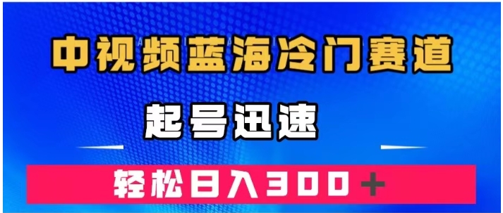 中视频蓝海冷门赛道，韩国视频奇闻解说，起号迅速，日入300＋-云际资源网