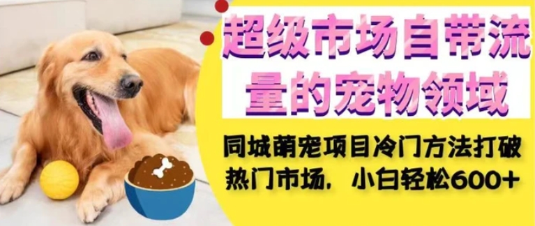 超级市场自带流量的宠物领域，同城萌宠项目冷门方法打破热门市场，小白轻松600+-云际资源网
