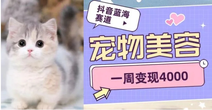抖音蓝海赛道，宠物美容，一周变现4000-云际资源网