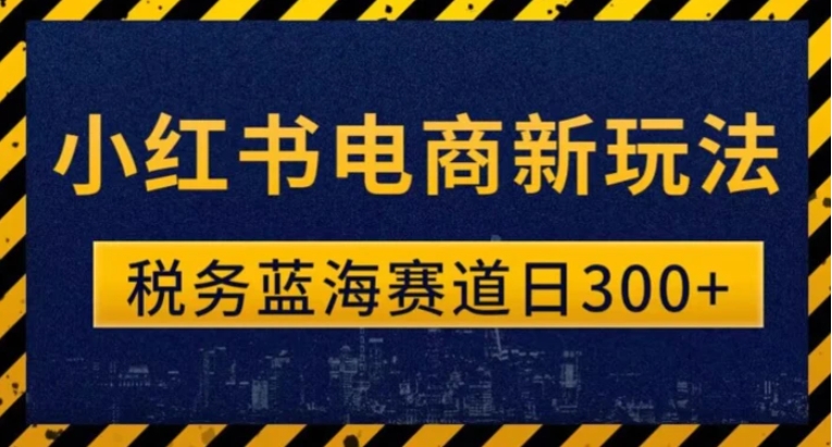 税务师小红书电商新玩法，知识撸金稳定300+-云际资源网