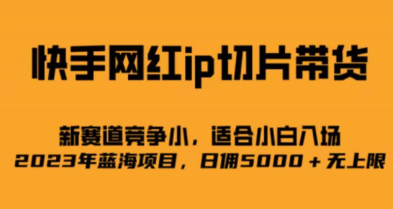 快手网红ip切片新赛道，竞争小，适合小白 2023蓝海项目-云际资源网