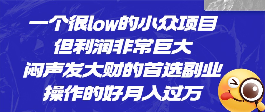 一个很low的小众项目，但利润非常巨大，闷声发大财的首选副业，月入1W+-云际资源网
