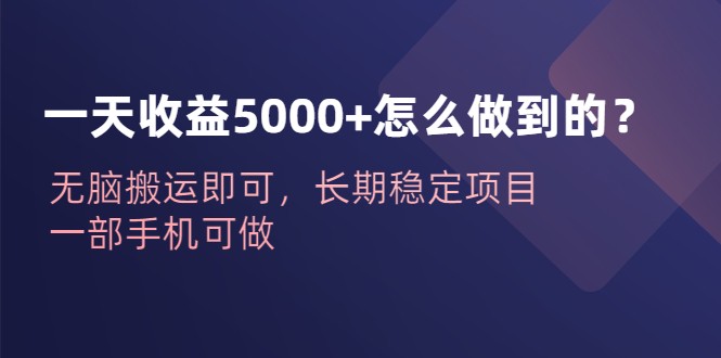 一天收益5000+怎么做到的？无脑搬运即可，长期稳定项目，一部手机可做-云际资源网