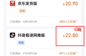 爆火的63页PPT副业！教你如何利用热点变现思路-云际资源网