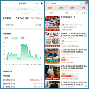宝宝取名项目：零投入，客单价100+，长期稳定收益！-云际资源网