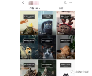 抖音宠物冷知识号：快速涨粉变现，教你如何操作-云际资源网