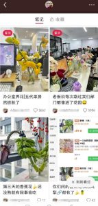 小红书引流快团团卖货实操案例，每日引流200+精准粉-云际资源网
