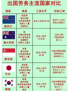 一单净赚3万的国外劳务派遣赚钱项目：信息差成就创业之路-云际资源网