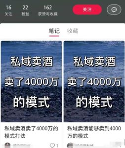 小红书高效引流新玩法，月销50w从矩阵开始！-云际资源网
